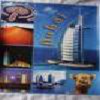 2010 Iron On Heat Transfer Sticker & film for