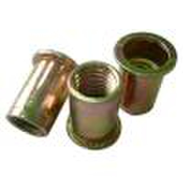 Flat Head Rivet Insert