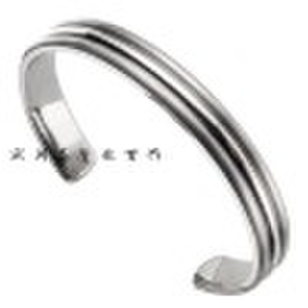 Fashion Titanium bangle