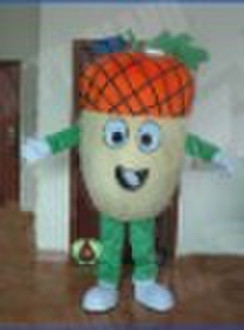 2010 HI cartoon costume