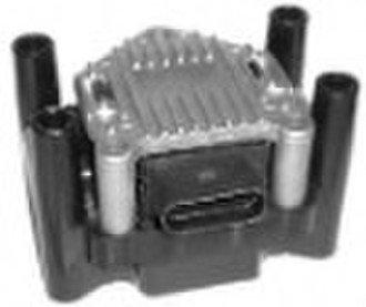 dry ignition coil