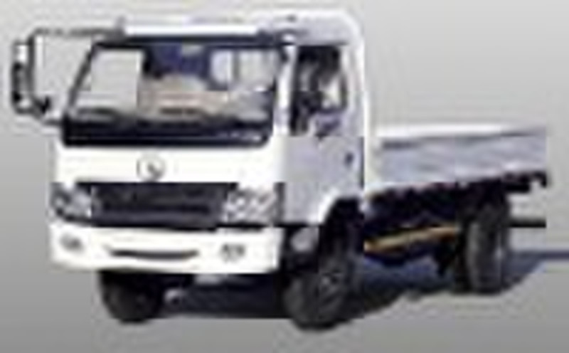 4*2 light  cargo truck