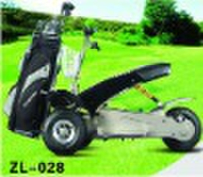 golf cart ZL-028