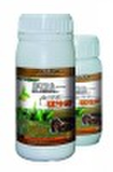 vigoroot    seaweed  fertilizer