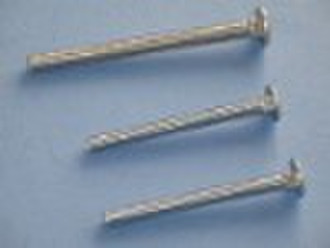 carriage bolt