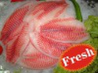 Frozen Tilapia Fillet