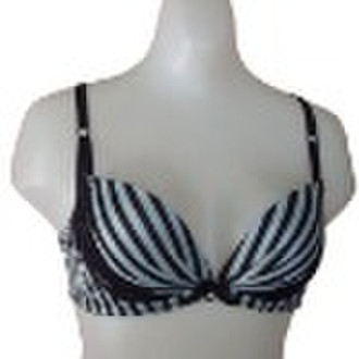 2010 Fashion Dessous von Padded Bra