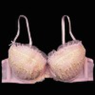 2010 Fashion Lingerie von Padded Bra