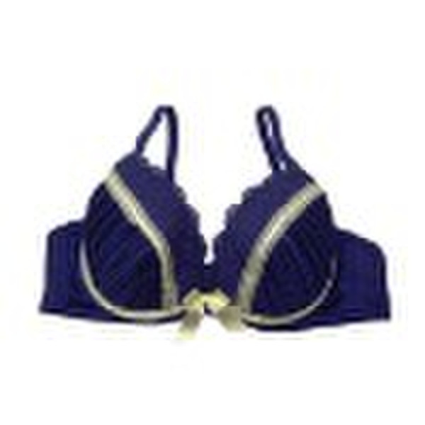 2010 Fashion Lingerie von Padded Bra