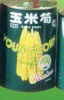 Canned Youngcorn