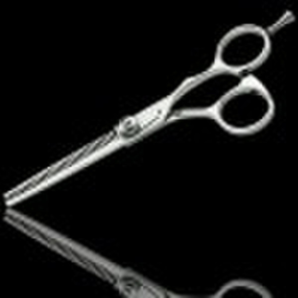 Hair Scissors