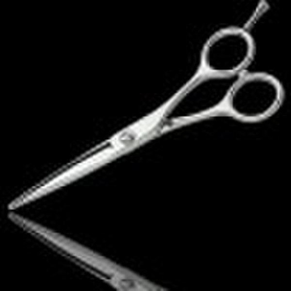 Hair Scissors