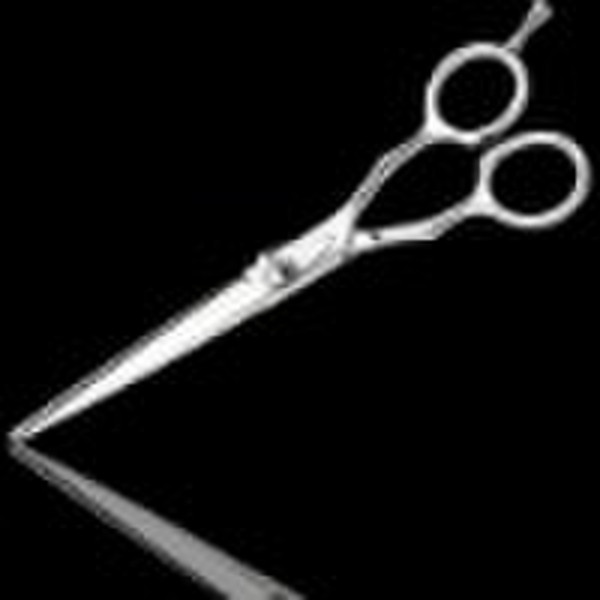 Hair Scissors