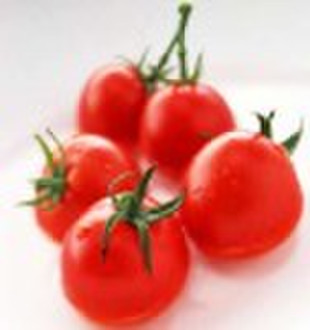 Lycopene Powder