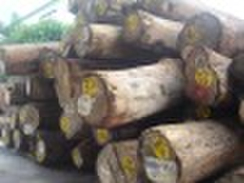Ebony timber logs