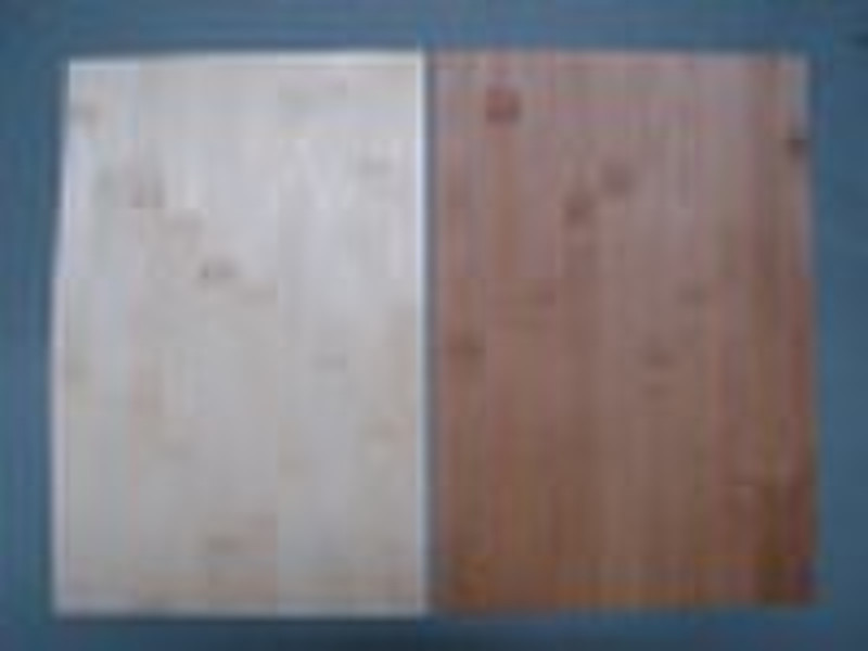 bamboo  veneer