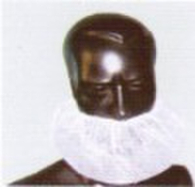 Beard Cover with single elastic