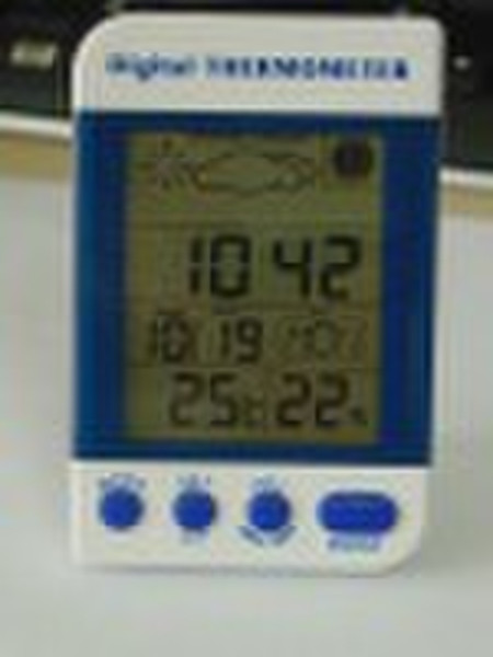 Thermometer with Weather Station