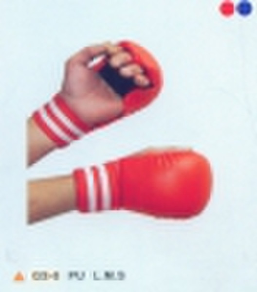 Karate Glove