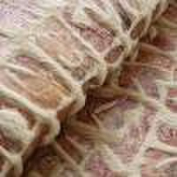 Embossed Micro Velboa fabric