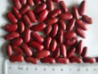 Red kidney beans(English type)