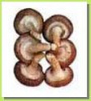 Lentinus edodes extract, standard herbal extract,m