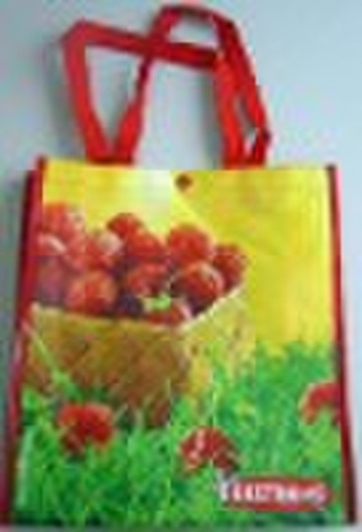 Promotional Nonwoven Bag