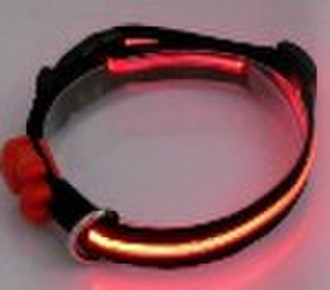 Led pet collar