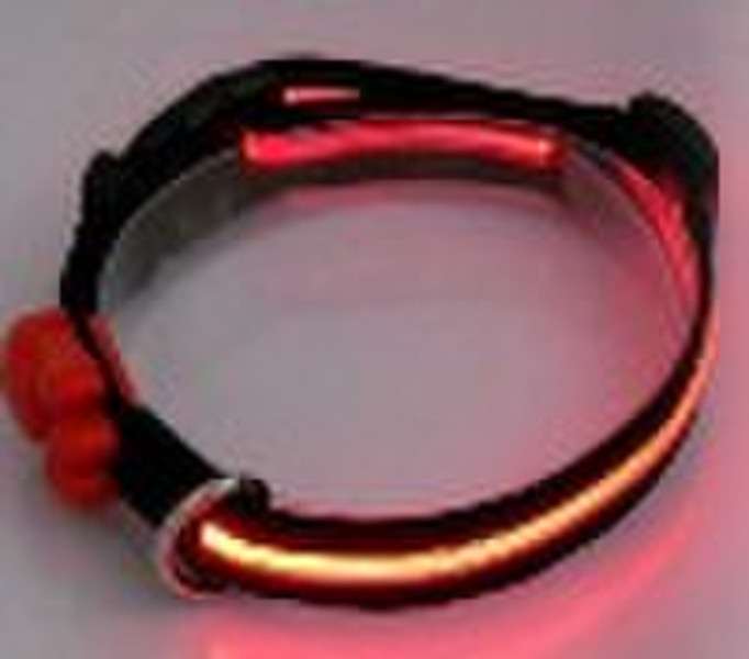 Led pet collar