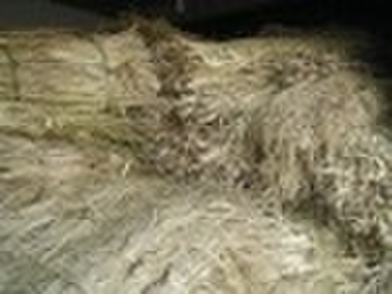 raw edgeworthia chrysantha/mitsumata fiber