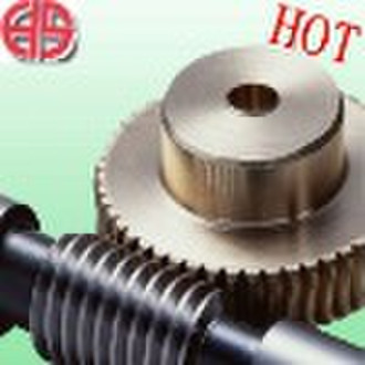 Worm gear