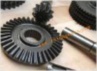 Spur Gear