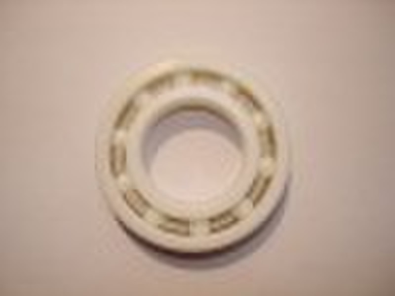 Ceramic Bearing