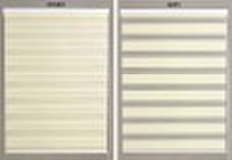 Stoff Zebra Blinds mit einfachen Profil