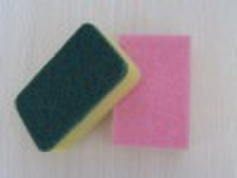 kitchen cleaning sponge