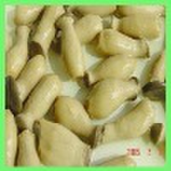 canned king oyster mushroom