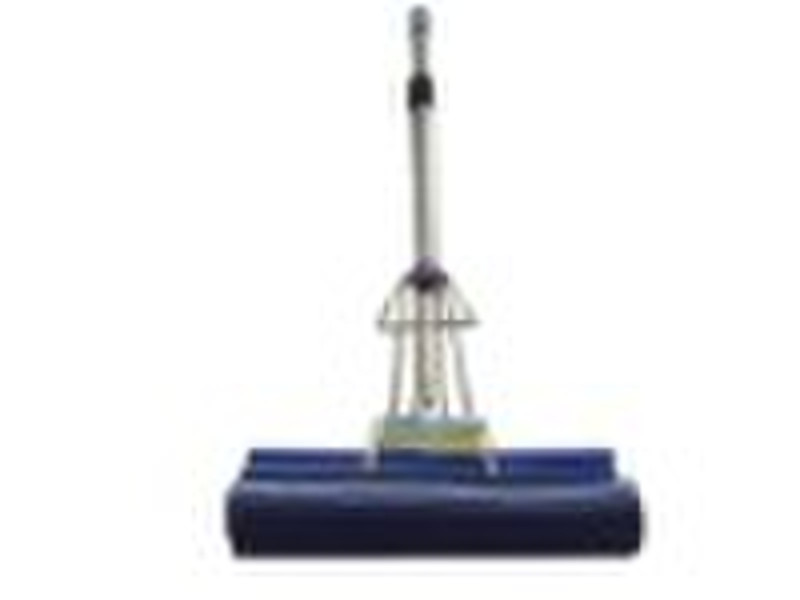 Steam Mop