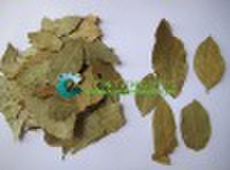 Bay Leaf (Xiang Ye)