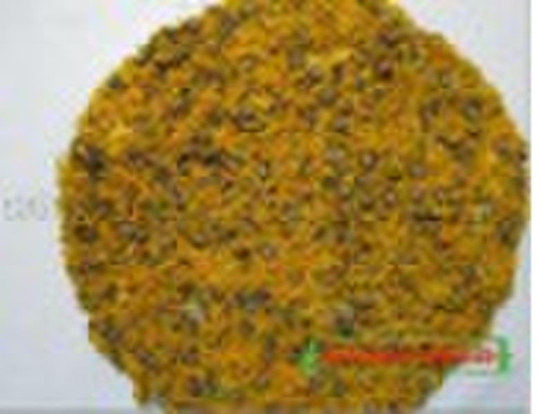 Yellow Chrysanthemum