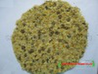 Classic Chrysanthemum