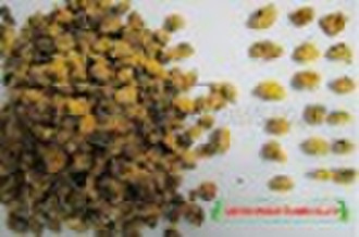 Golden Chrysanthemum