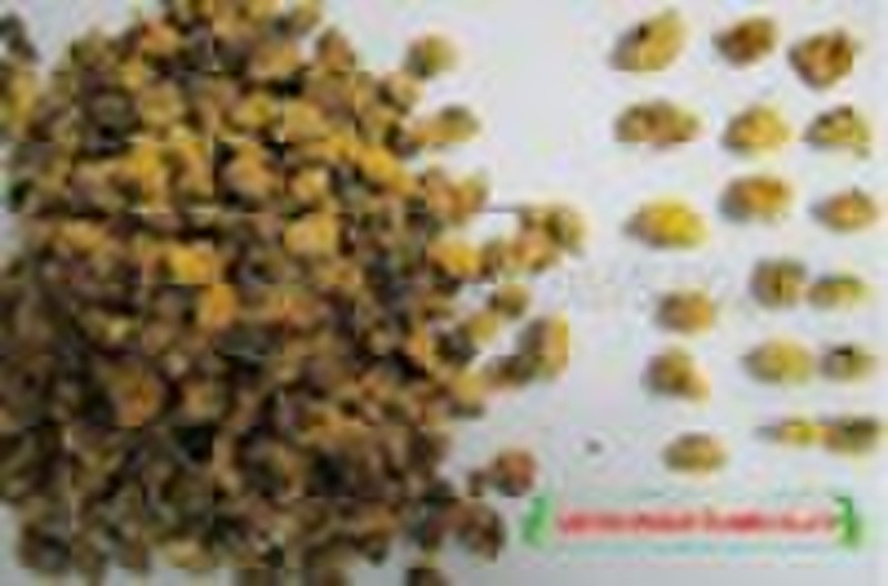 Golden Chrysanthemum