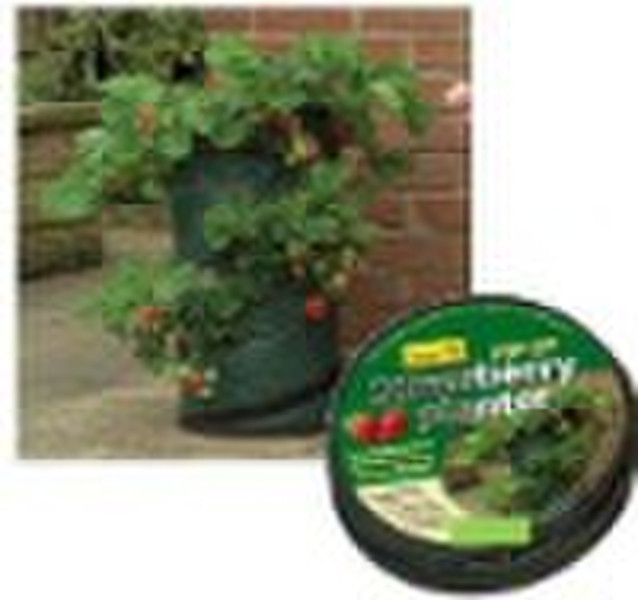 Strawberry Planter