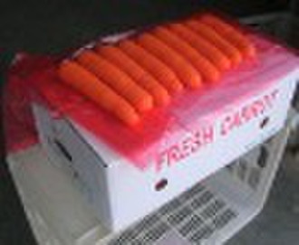 Fresh Carrot