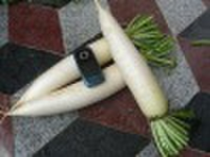 Fresh radish