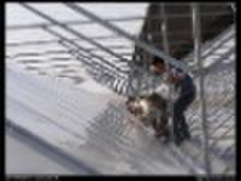 Plastic Film Greenhouse