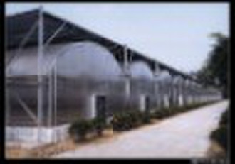 Plastic Film greenhouse
