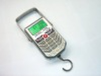 solar hanging scale from china