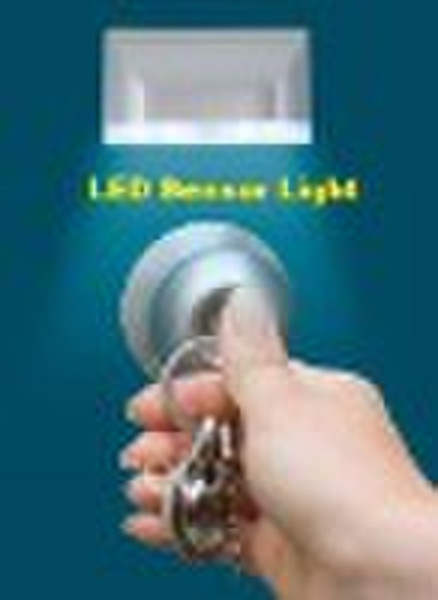 LED Sensor Light