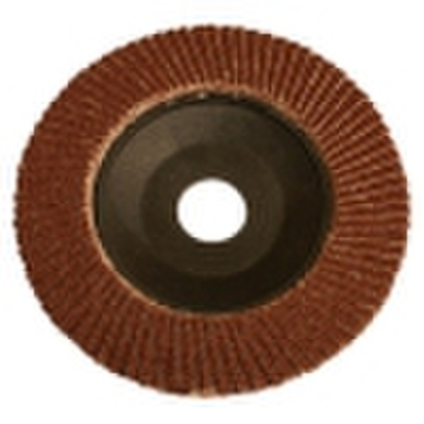 FLAP DISCS